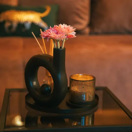 Tiny House Aria 马卡尔斯卡
